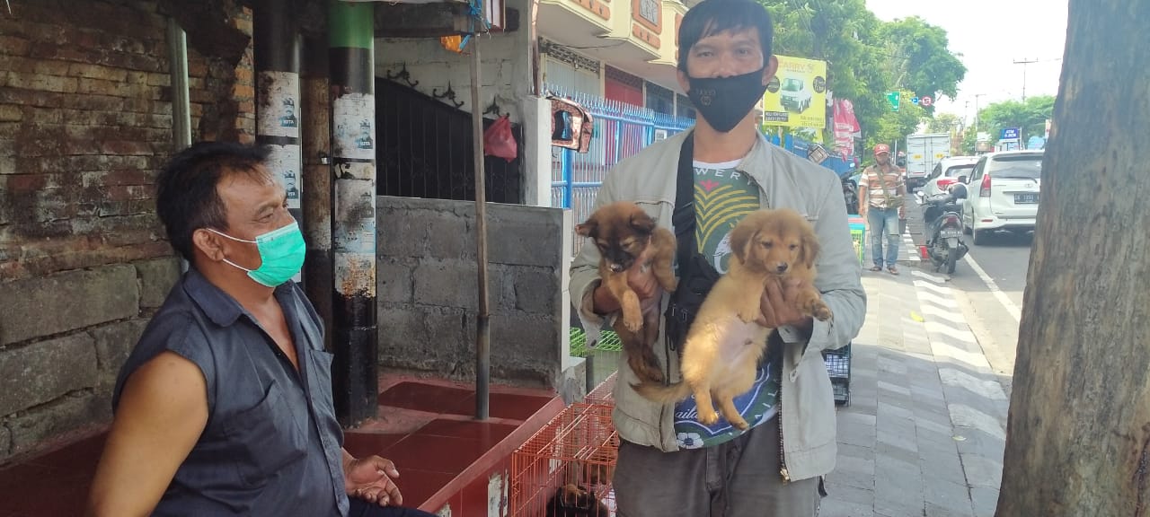 Kondisi Penjual Anjing di Jalan Veteran Denpasar Saat Pandemi_5fa207c01e38a.jpeg