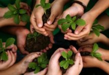 PT. PAL Indonesia Tanam 1 Miliar Pohon dilahan Tandus