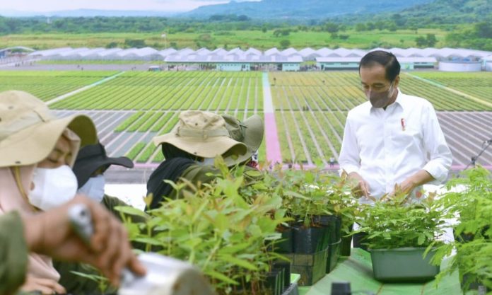 kominfo-jokowi-persemaian-rumpin