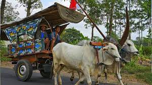 lantaran sering telat, maka muncullah istilah bajingan