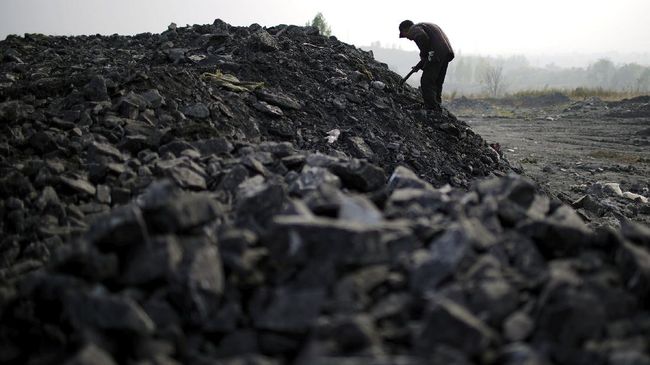 Ini Alasan Cina Masih Impor Batu Bara RI Meski Punya Cadangan Besar