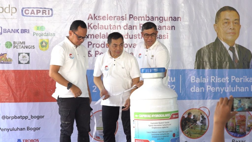 Caprivac Hydrogalaksi Vaksin Buatan KKP Ampuh Cegah Penyakit Ikan