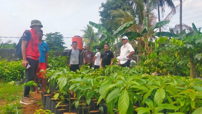 Pemda Bulukumba Gagas Gerakan ‘Back To Nature’ di Sekolah