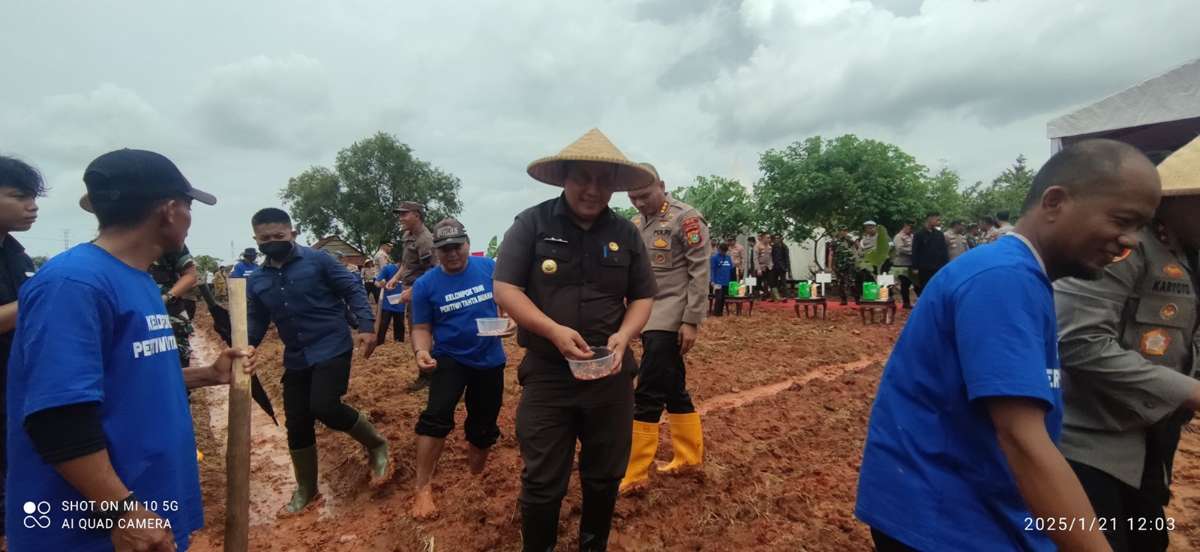 Dukung swasembada, Pemkab Taliabu targetkan 1 hektare lahan per desa