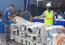 TNI AL dan Gakkum Kehutanan Gagalkan Penyelundupan 74 Ton Arang Bakau di Tanjung Priok