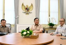 Prabowo dan Jusuf Kalla Bahas Investasi Energi Hijau Rp70 Triliun untuk Dorong Pertumbuhan Ekonomi
