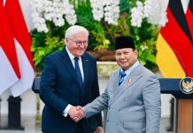 Indonesia dan Jerman Siap Perluas Kerja Sama Strategis Jelang 75 Tahun Hubungan Diplomatik