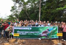 Generasi Muda Jepang Turun ke Hutan Riau, Tanam Pohon Demi Lawan Perubahan Iklim