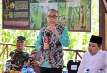 Petani Bisa Akses KUR hingga Rp100 Juta Tanpa Agunan, Kementerian UMKM Perkuat Skala Ekonomi