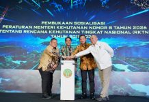 Kemenhut Sosialisasikan Rencana Kehutanan Tingkat Nasional 2011-2030