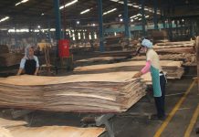 Kementerian Kehutanan Perkuat Tata Kelola Pengolahan Hasil Hutan untuk Dukung Hilirisasi Berkelanjutan