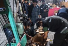 Kementerian Kehutanan Ungkap Dugaan Perdagangan Burung Dilindungi Melalui Facebook di Jayapura
