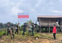 Usai Pencabutan Izin PBPH, Kementerian Kehutanan Perkuat Pengamanan Kawasan Hutan di Empat Provinsi