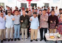 IKN Catat Sejarah Baru, Investasi Asing Pertama Masuk Tahap Konstruksi
