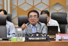 Komisi IV DPR RI Bentuk Tim Investigasi Dugaan Dampak Tailing PT Freeport di Mimika