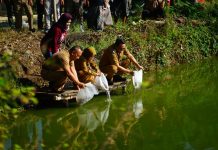 Pemkab Pati Salurkan 166 Ribu Benih Ikan Nila untuk Pulihkan Budidaya Pascabanjir