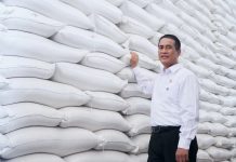 Amran: El Nino Tak Perlu Ditakuti, Cadangan Beras Nasional Sudah 5,24 Juta Ton