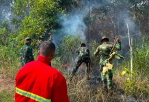 KLH Terbitkan SE Larangan Buka Lahan dengan Membakar, Antisipasi Karhutla di Tengah El Nino