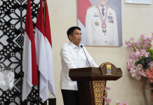 Wamendagri Dorong Sumsel Perkuat Kolaborasi untuk Percepat Eliminasi TB
