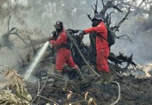 Karhutla di Kerumutan Pelalawan Mulai Terkendali, Manggala Agni Fokus Padamkan Bara Gambut