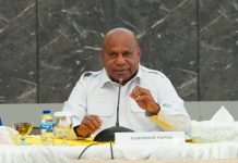 Pemprov Papua Perketat Peredaran Telur Ayam, Peternak Lokal Jadi Prioritas