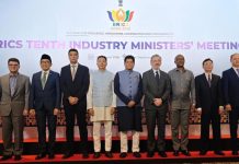 Indonesia Dorong Transformasi Industri di BRICS, Dari Startup hingga Panel Surya
