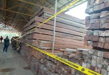 Kemenhut Tuntaskan Berkas Perkara Pemilik Gudang Penampungan Kayu Ilegal Di Samarinda
