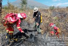 Api Karhutla di Resor Sembalun TN Gunung Rinjani Berhasil Dikendalikan, Kemenhut Lanjutkan Mopping Up