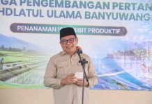 Nasionalis Berjiwa Santri: Adab Sonny Danaparamita di Hadapan Kiai NU dan Sinergi 1.000 Bibit untuk Petani