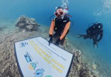 Dispar Kaltim Laksanakan Transplantasi Terumbu Karang di Pulau Miang