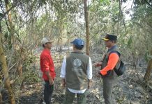 Tinjau Karhutla Kalsel, Menhut: Api Sudah Tak Terlihat, tapi Gambut Masih Berasap