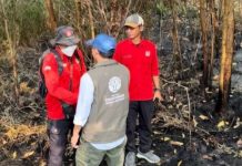 Menhut Raja Antoni Turun ke Lokasi Karhutla Kalsel, Operasi Pemadaman Diperkuat
