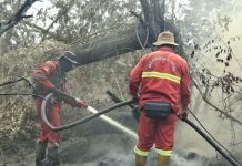 Hotspot Meningkat, Kemenhut Perkuat Operasi Karhutla dan Pemantauan Dampak Asap