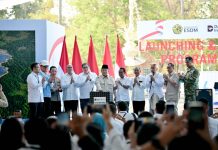 Presiden Prabowo Kejar Target 100 GWp PLTS dalam Tiga Tahun, Ini Dampaknya bagi Indonesia