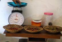 Kemensos Dorong 220 KPM di Sumenep Jadi Petani Cabe Jamu Organik Berorientasi Ekspor