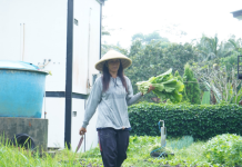 Wajibkan SPPG Gandeng Pelaku Usaha Lokal, BGN Dorong Ekonomi Daerah via Program Makan Bergizi Gratis