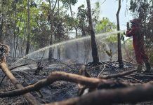 Hotspot Turun di Empat Provinsi Prioritas, Pengendalian dan OMC Terus Diperkuat