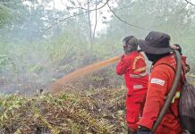 Hotspot Nasional Turun, Riau Nihil, Pengendalian Sumsel Diperkuat