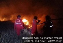 Hotspot Nasional Meningkat, Riau Nihil, Pengendalian Kalteng Diperkuat