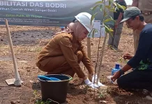 Pemkab Kendal dan PLN Rehabilitasi DAS Sungai Bodri, Tanam Ratusan Pohon di Tiga Lokasi