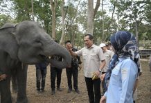 Jaga Habitat Satwa Dilindungi, Komisi IV DPR Soroti Karhutla di Way Kambas