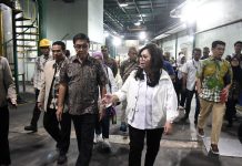 70 Persen Produksi untuk Ekspor, DPR Minta Industri Sawit Perkuat Pasar Domestik
