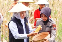 Hari Polwan 2026, Khofifah Apresiasi Dedikasi Polisi Wanita untuk Masyarakat
