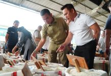 Bapanas, Bulog, dan Food Station Pastikan Pasokan Beras Nasional Aman