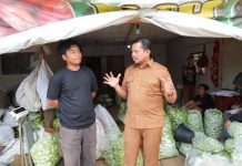 Kisah Petani Milenial Sumedang: Panen 10 Ton Labu Siam per Hari hingga Tembus Jabodetabek