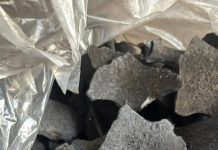 Dari Vanili hingga Arang Batok Kelapa, Bea Cukai Bantu UMKM Magelang Go Global
