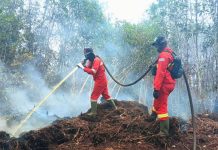 Riau-Jambi Nihil Hotspot Karhutla, Pengelolaan Gambut Diperkuat