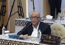 Kabut Asap Berulang di Kalimantan, DPR Minta Penguatan Sarana Bencana dan Pesawat Pemadam
