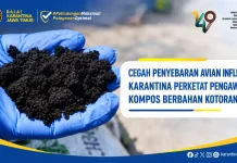 Cegah Penyebaran Avian Influenza, Karantina Perketat Pengawasan Kompos Berbahan Kotoran Ayam