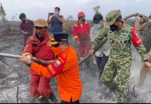 Gubernur Al Haris Siapkan Satgas ASN Bantu Padamkan Karhutla di Jambi
